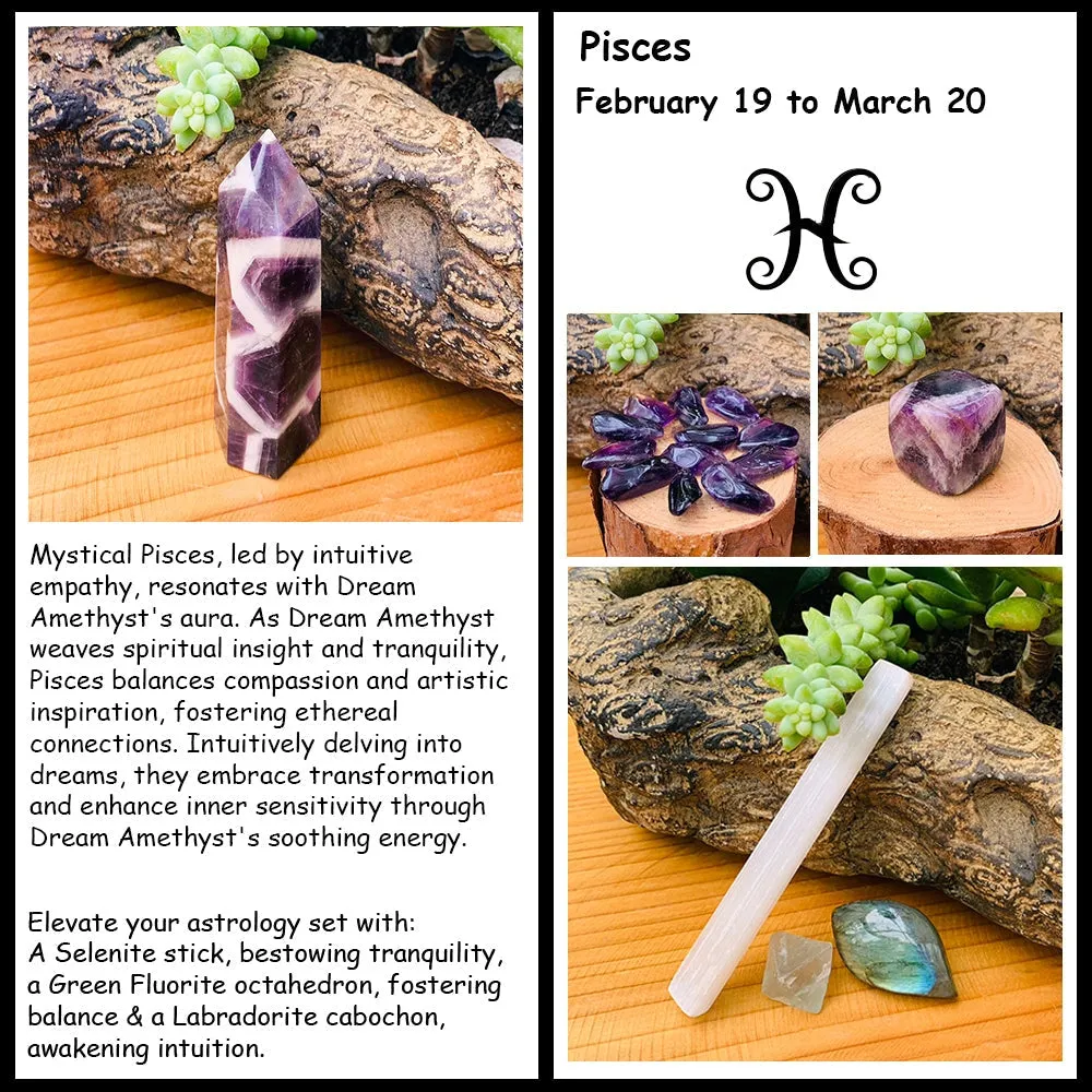 ♓ Pisces - February 19th - March 20th -  Zodiac Crystal Fusion Set With Pouch