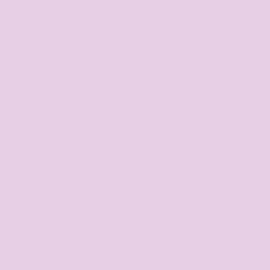 1182 Lilacs In Spring
