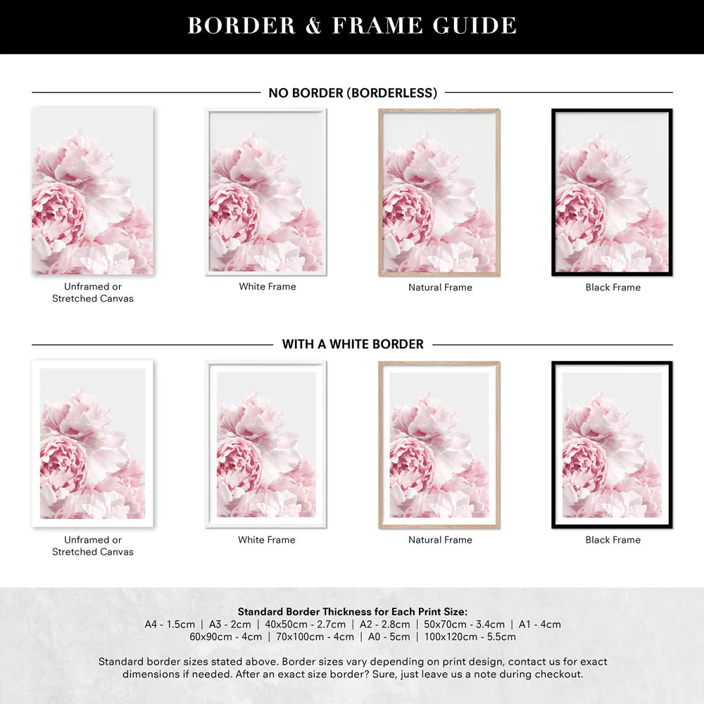 Blush Peonies - Art Print