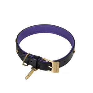 Buster   Punch Dog Collar