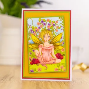 Crafter's Companion Photopolymer Stamps By Molly Harrison - Little Lady Bug*