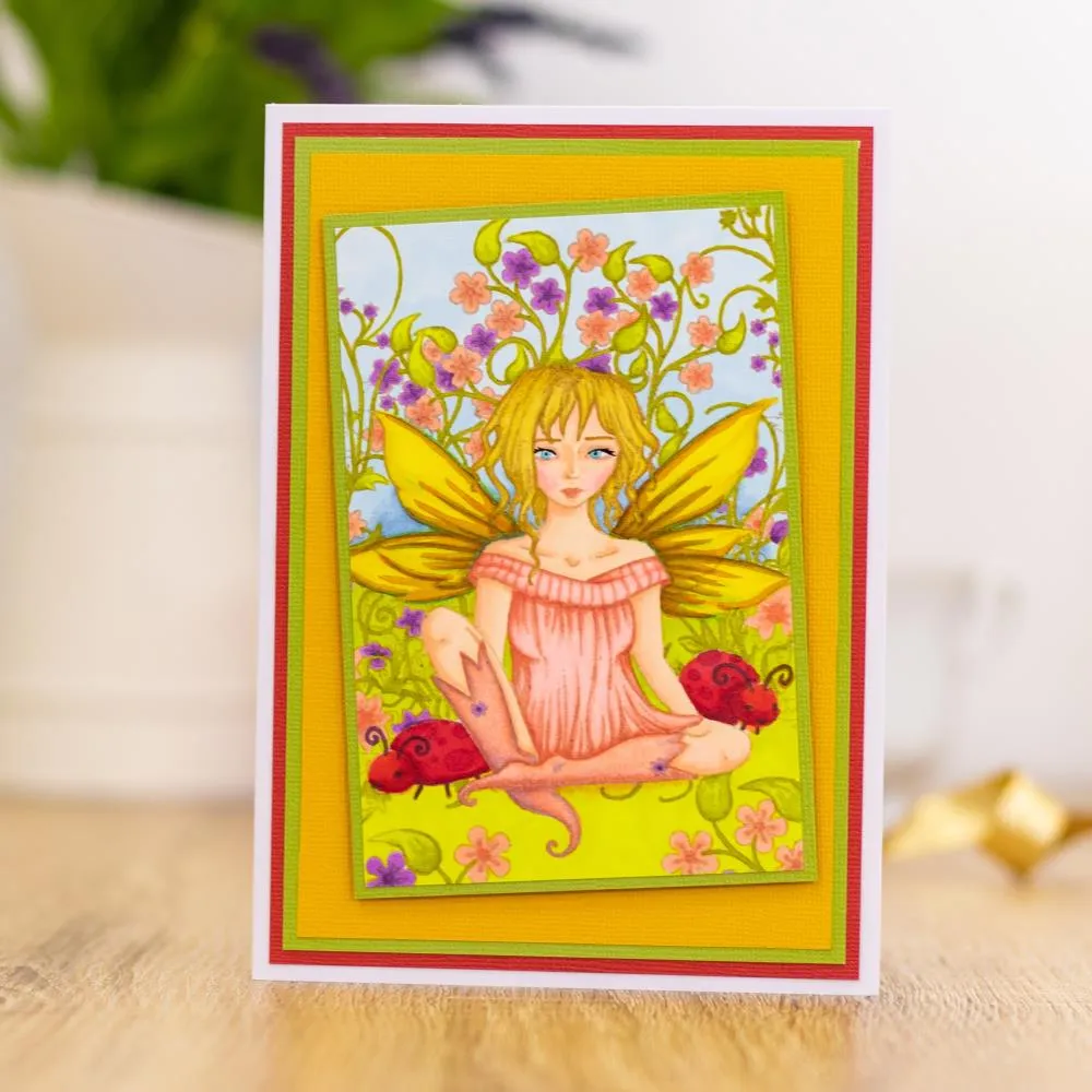 Crafter's Companion Photopolymer Stamps By Molly Harrison - Little Lady Bug*