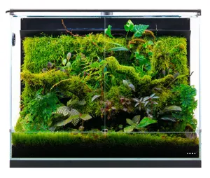 DOOA System Paluda (C plug w/out USB Power Adaptor)