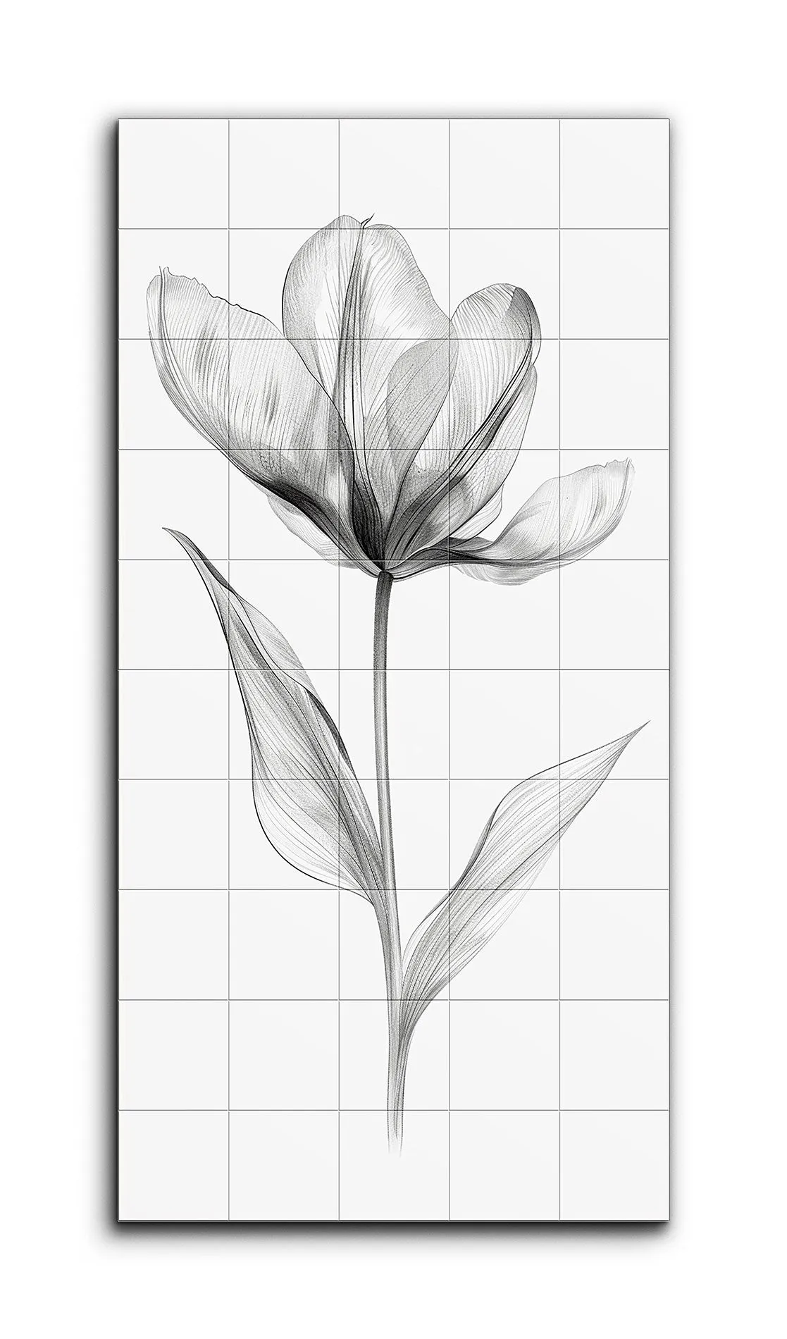 Ethereal Tulip: Monochrome Elegance