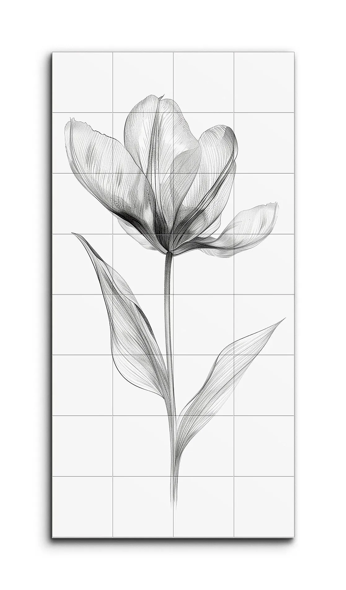 Ethereal Tulip: Monochrome Elegance