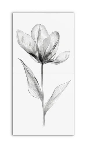 Ethereal Tulip: Monochrome Elegance