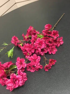 Fuchsia Cherry Blossom