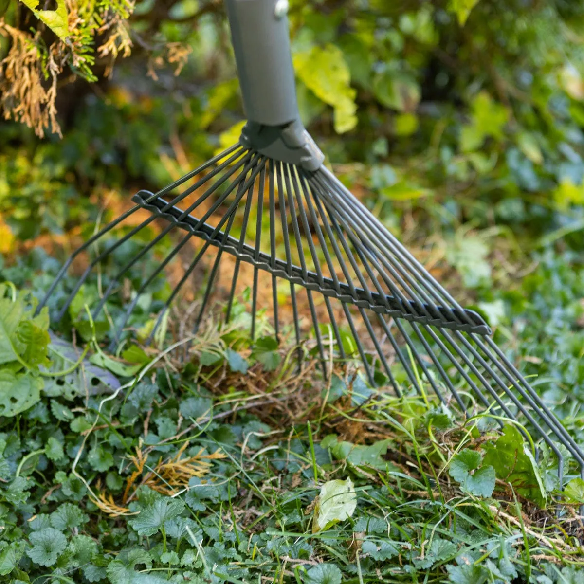 Gemplers Rugged Spring Rake