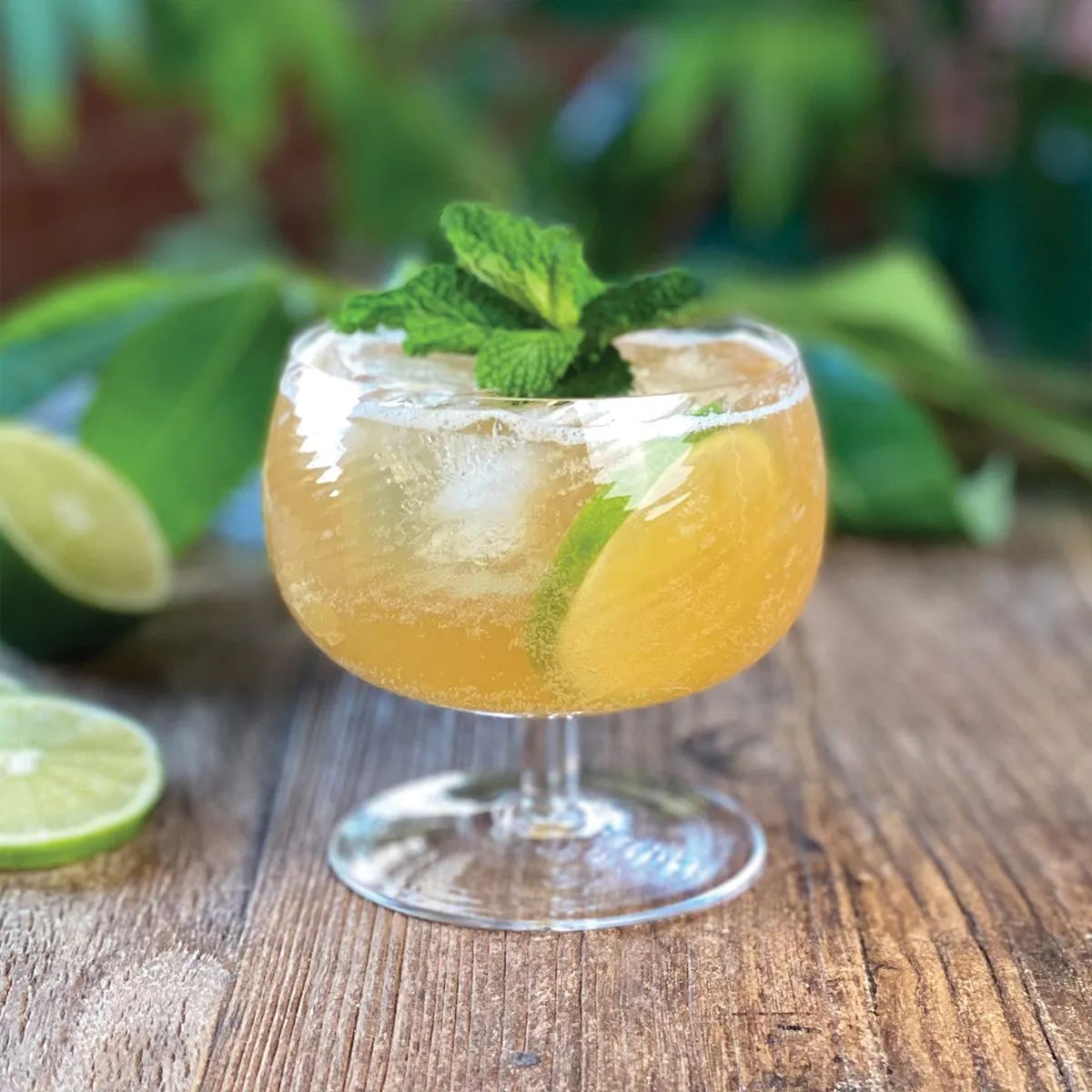 Island Mule Cocktail Pack