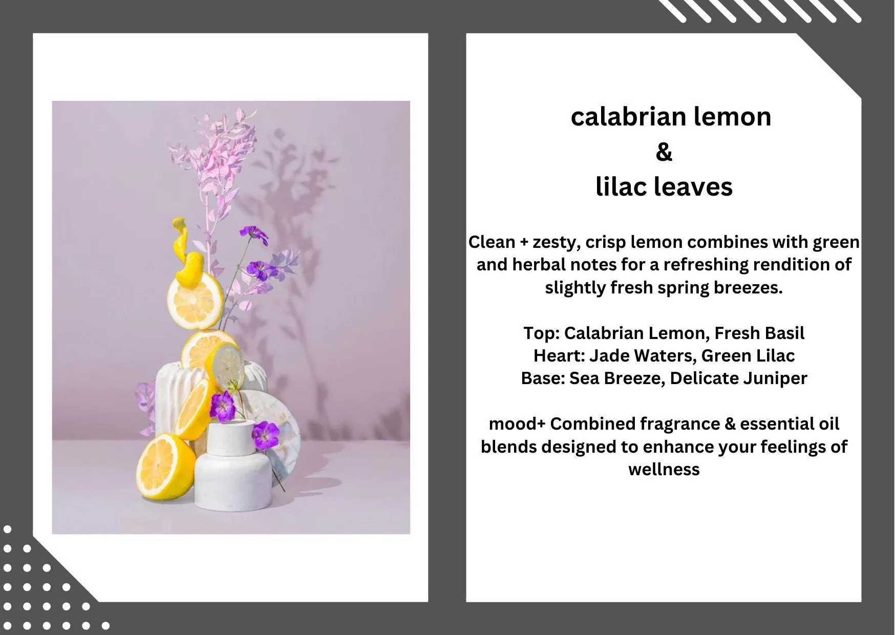 Lilac Lotion Sample Box Set - Lilac Candle Sample Box Set