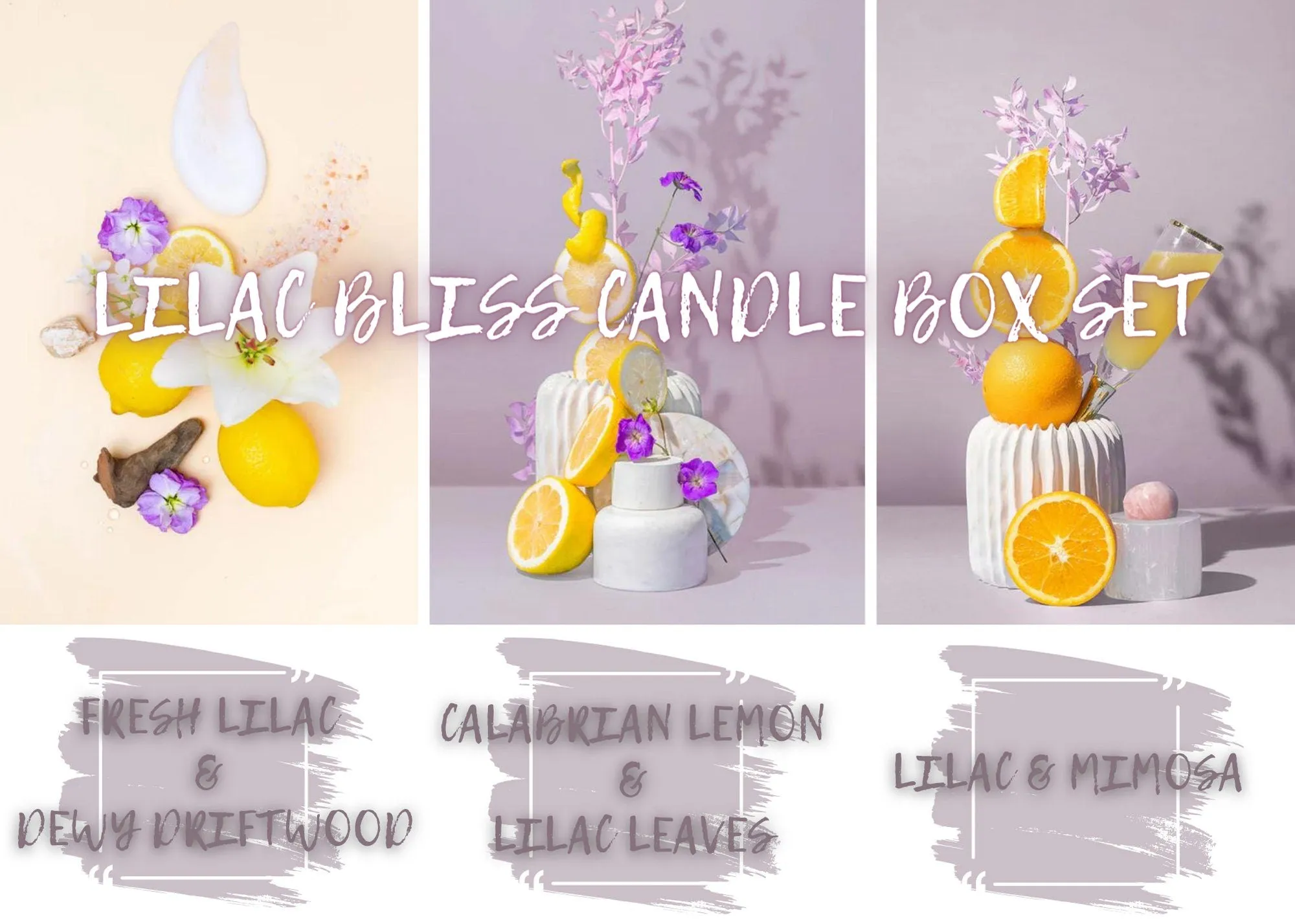 Lilac Lotion Sample Box Set - Lilac Candle Sample Box Set