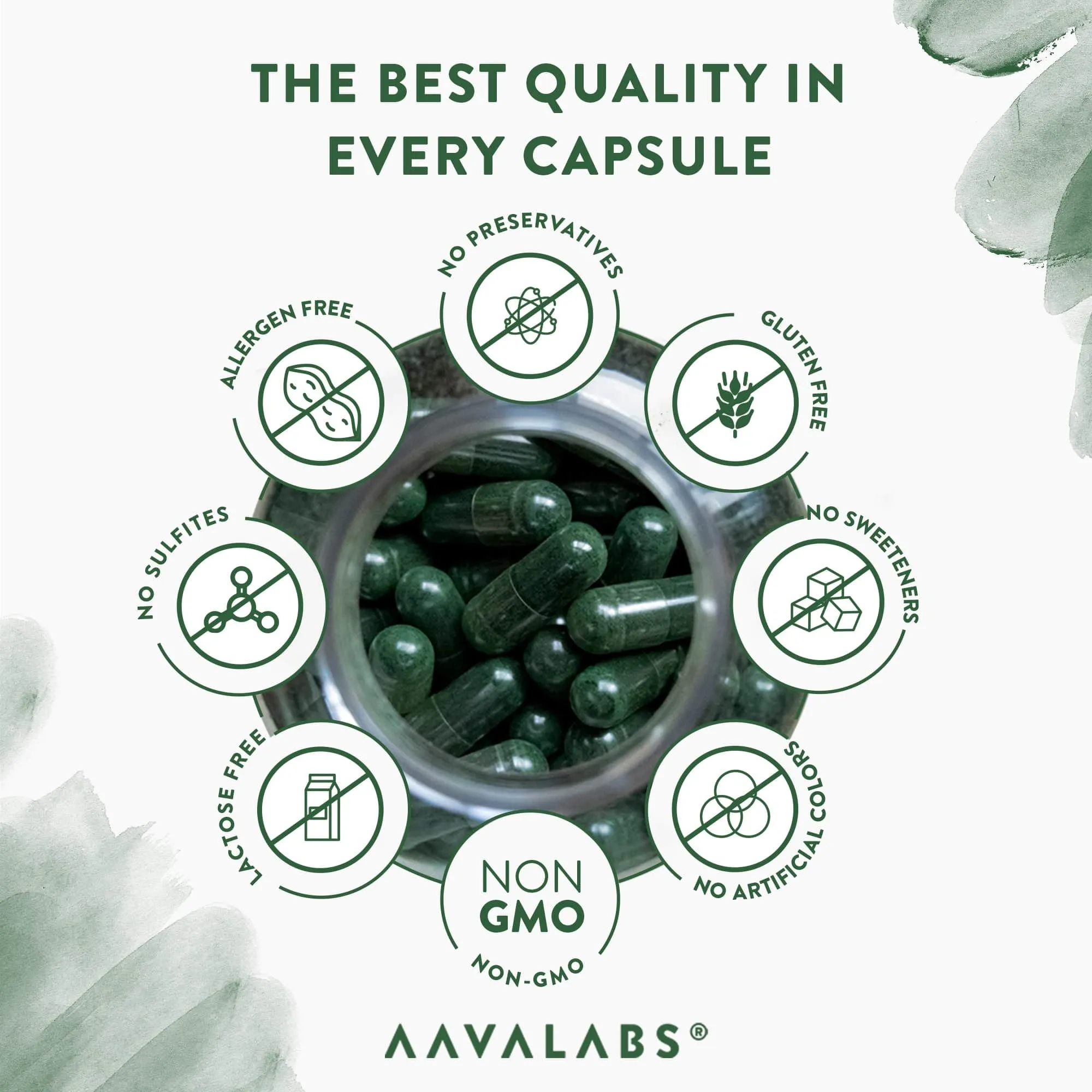 ORGANIC SPIRULINA & CHLORELLA - 6 MONTH PACK