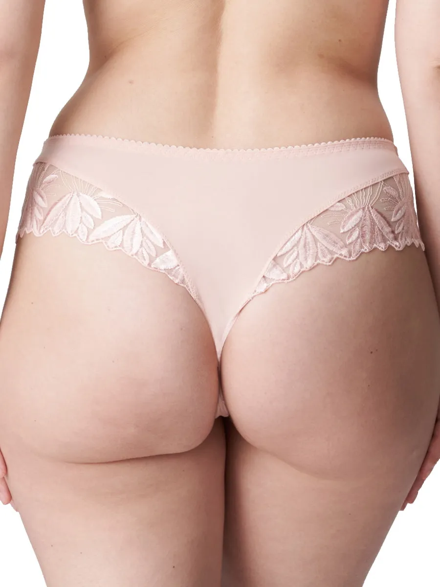 Orlando Luxury Thong