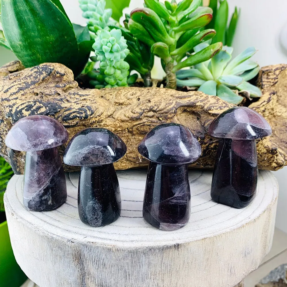 Purple Fluorite Mushroom