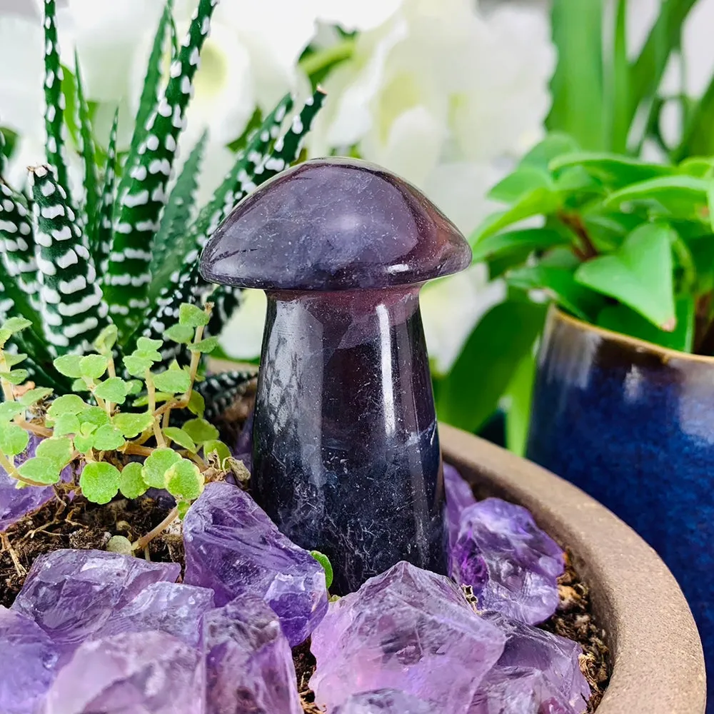 Purple Fluorite Mushroom