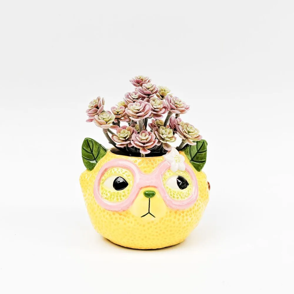 Urban Products Tropicana Cat Lemon Planter 9cm