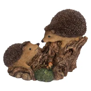 Vivid Arts 25cm Playful Baby Hedgehogs - RL-PF01-B