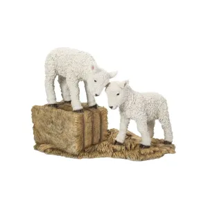 Vivid Arts 43cm Playful Lambs - RL-PF32-A